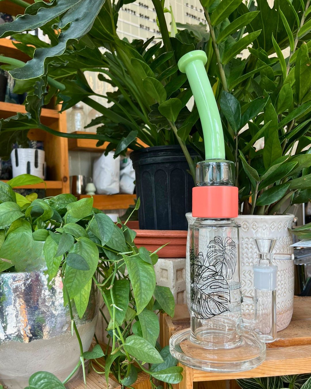 Monstera Big Honeycomb Single Stack