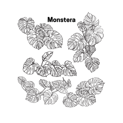 Monstera Tall Beaker